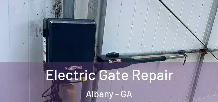 Electric Gate Repair Albany - GA