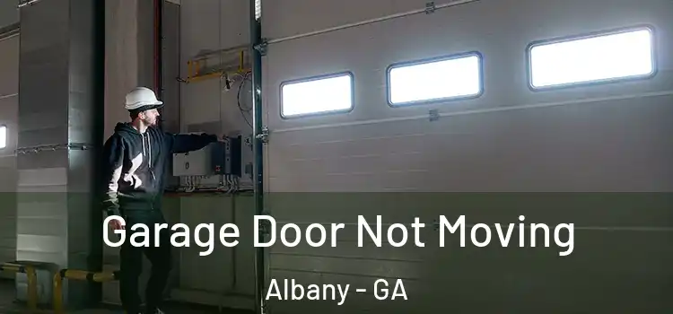  Garage Door Not Moving Albany - GA