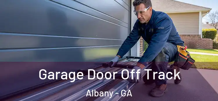  Garage Door Off Track Albany - GA