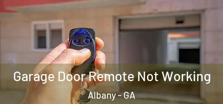  Garage Door Remote Not Working Albany - GA
