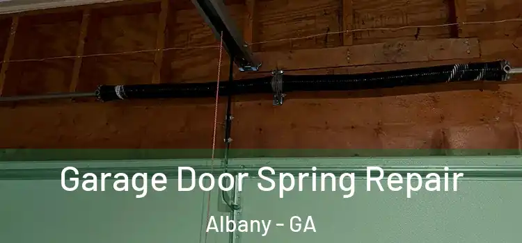  Garage Door Spring Repair Albany - GA
